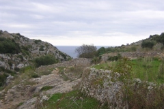 Immagine-250