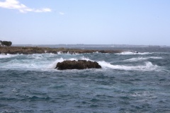 img_9469.cr2_