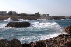 img_9481_cr2