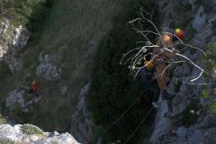 img_9505_cr2