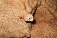 grotta_antonietta__24_