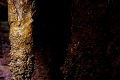 grotta_antonietta__35_