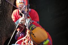 74esimo-Anniversario-GrotteCastellana-41