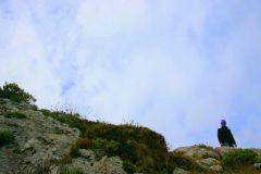 img_1890