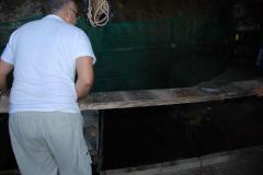 Grotta-del-Cavallo-44