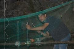 Grotta-del-Cavallo-48