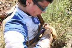 scouts_024