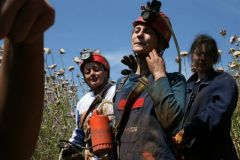 scouts_098