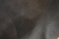 img_0031